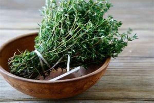 Thyme helps overcome men's shoots